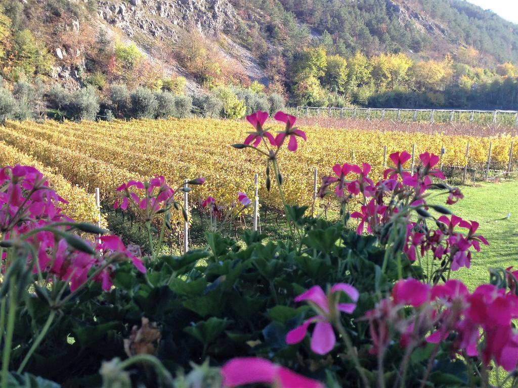 Pergolese Agritur Ai Masi 빌라 외부 사진